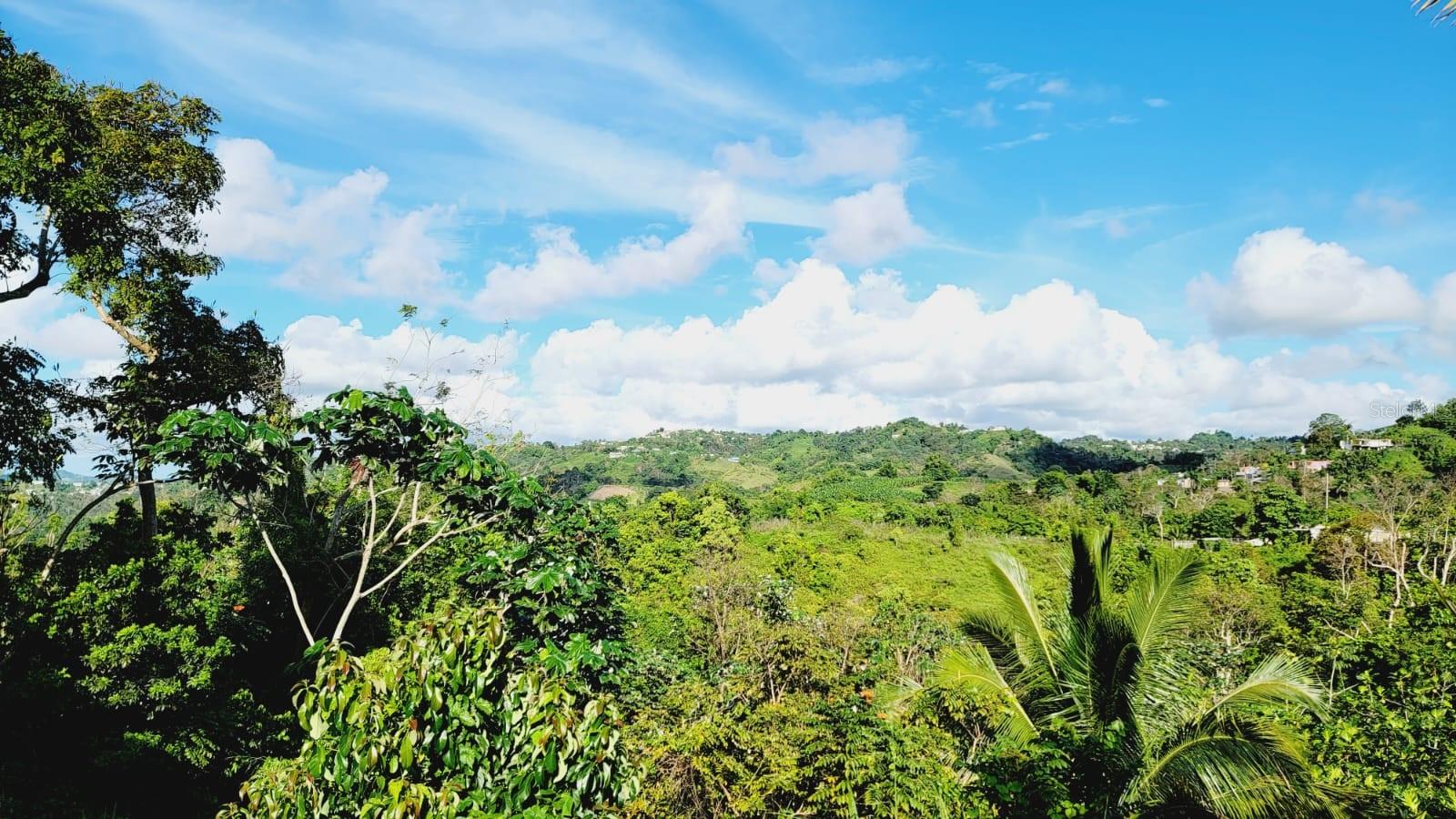 Km 2.9 PR-917 BO. MONTONES II