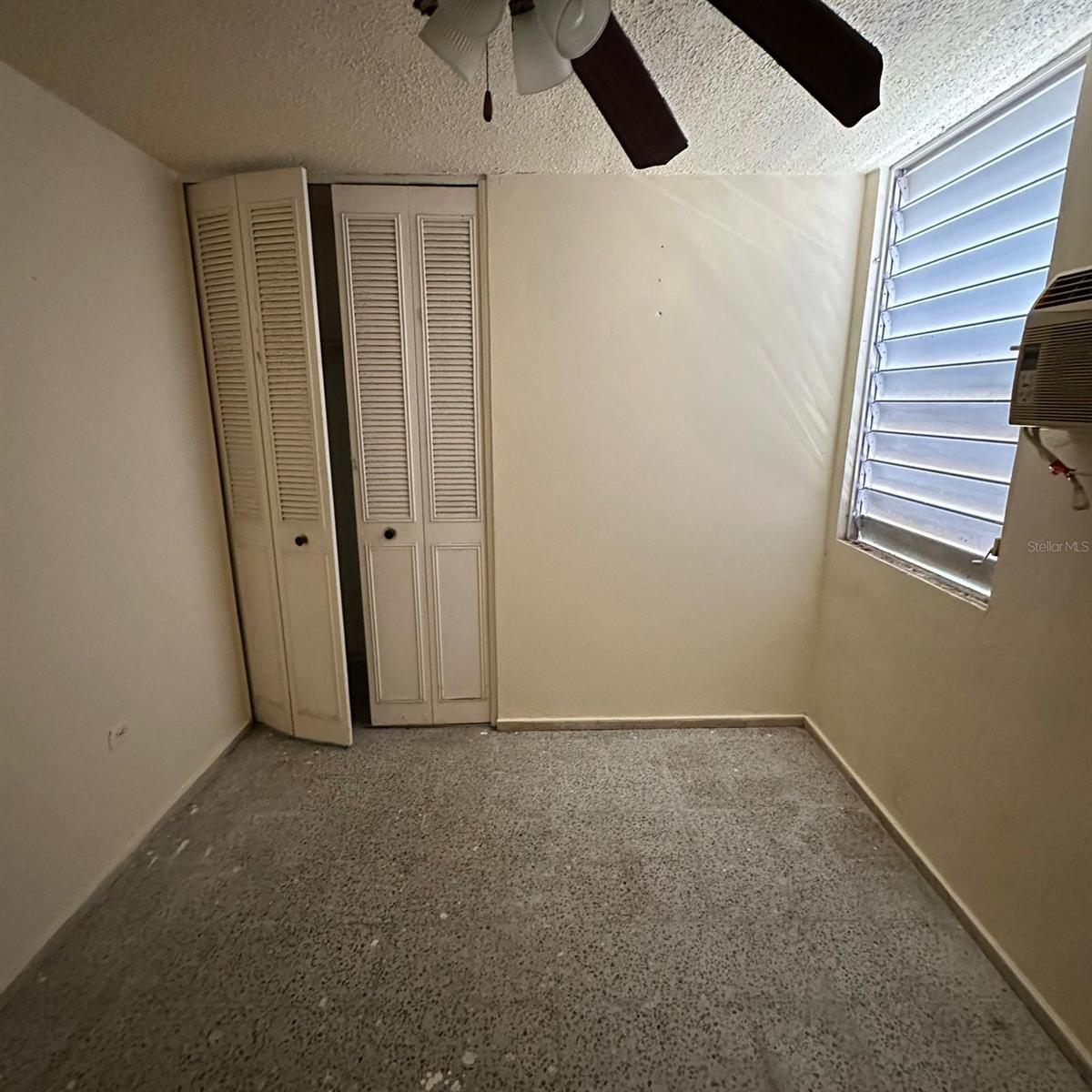 3628 LOLA RODRIGUEZ DE TIO