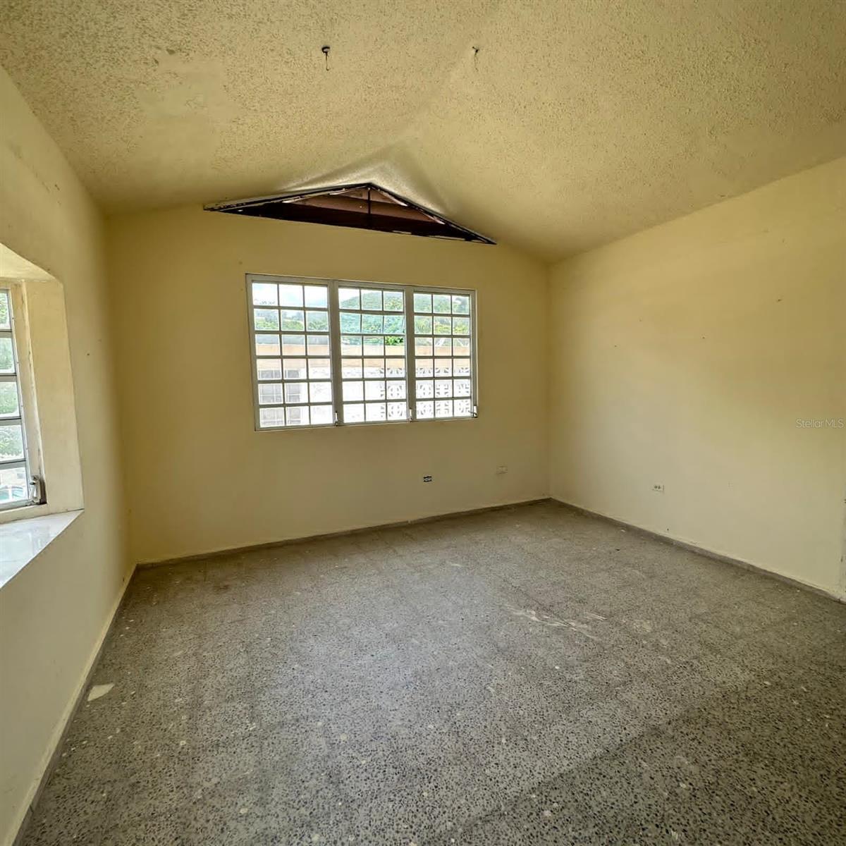 3628 LOLA RODRIGUEZ DE TIO