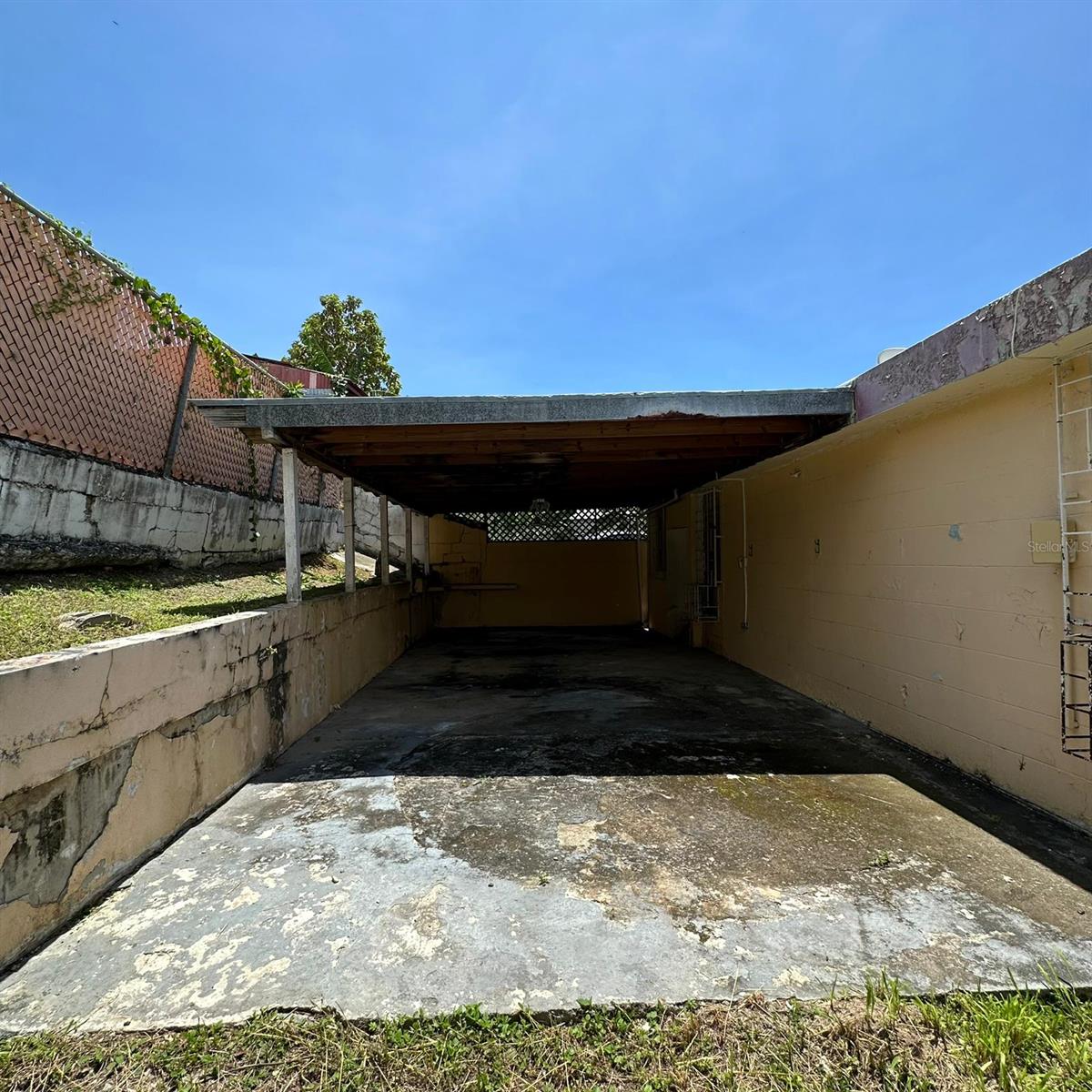 3628 LOLA RODRIGUEZ DE TIO