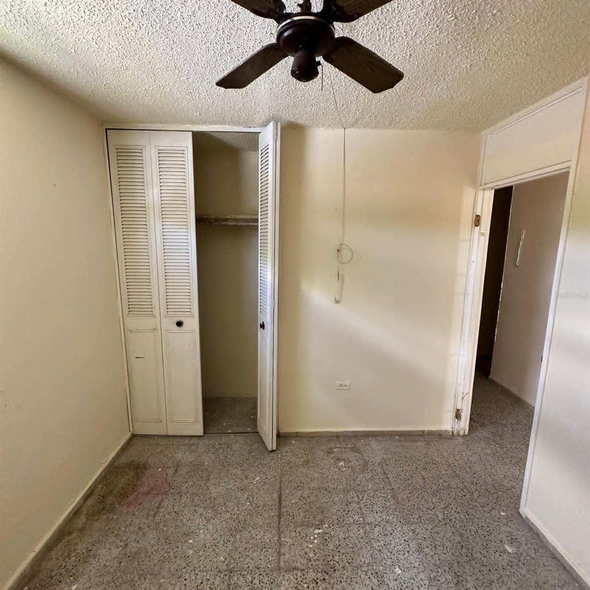 3628 LOLA RODRIGUEZ DE TIO