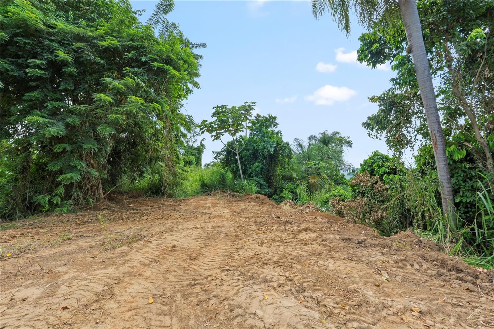 Bo. Hoyos Planes CARR. 531 KM HM7