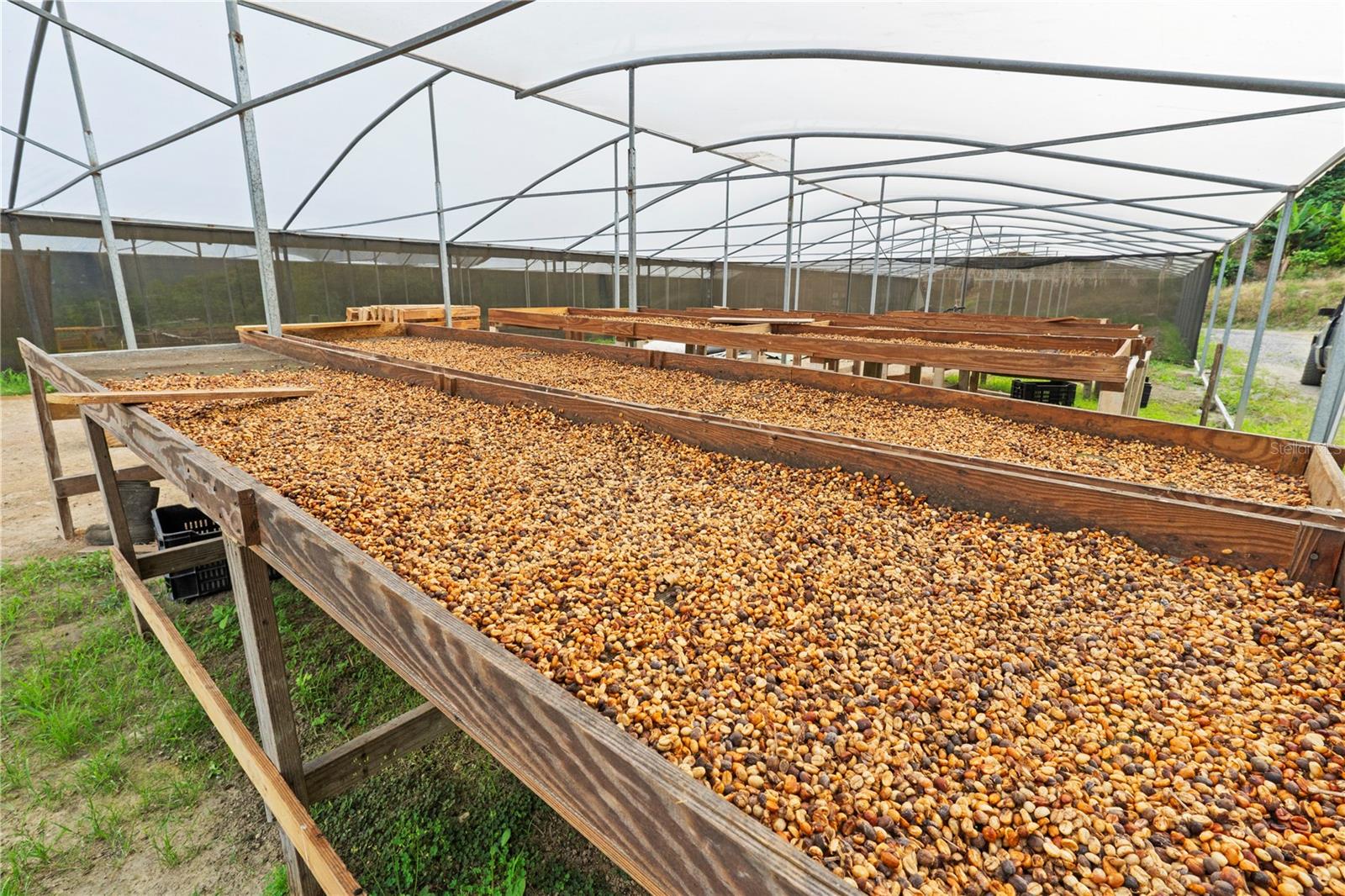 Bo. Hoyos Planes CARR. 531 KM HM7