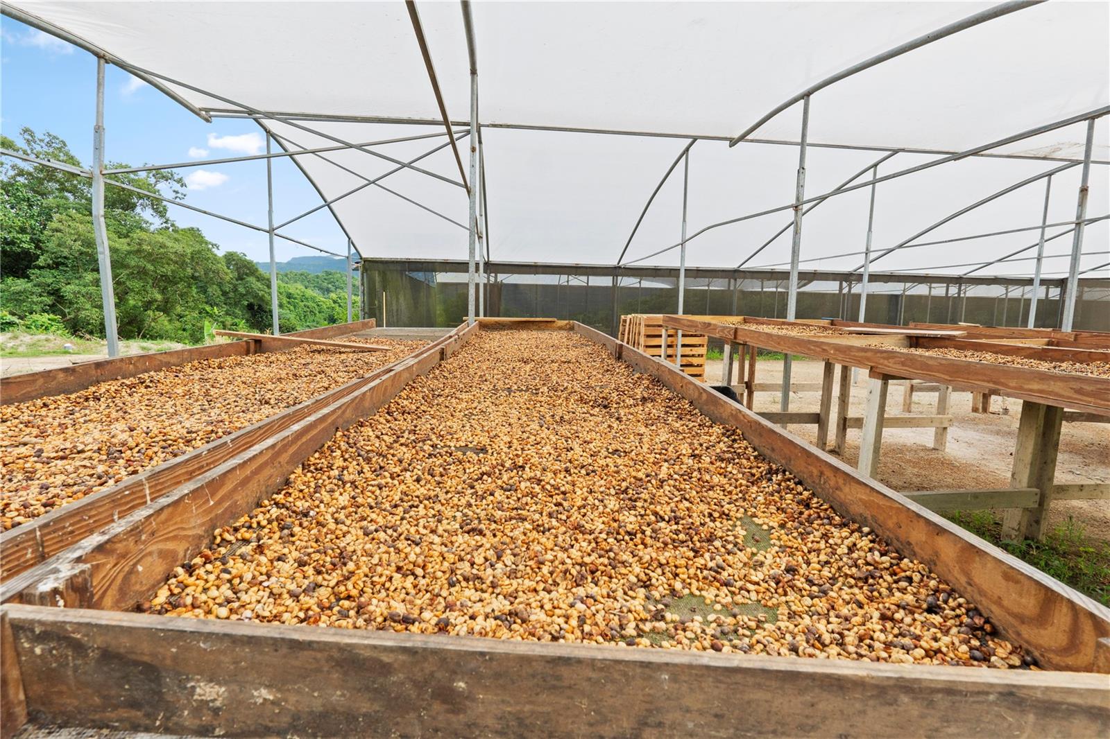 Bo. Hoyos Planes CARR. 531 KM HM7