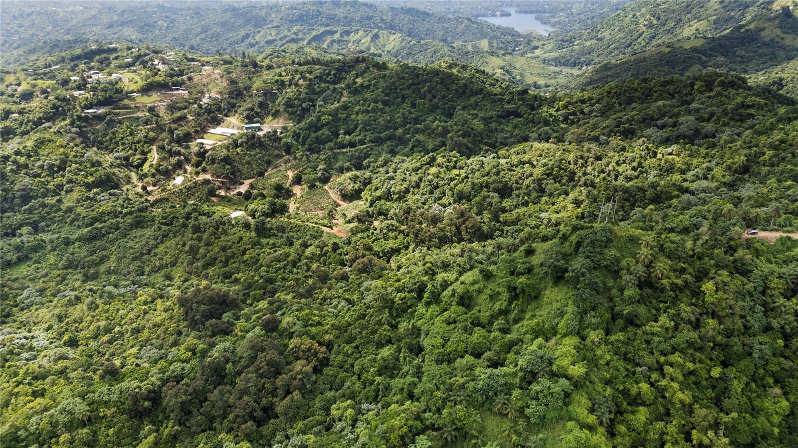 Bo. Hoyos Planes CARR. 531 KM HM7