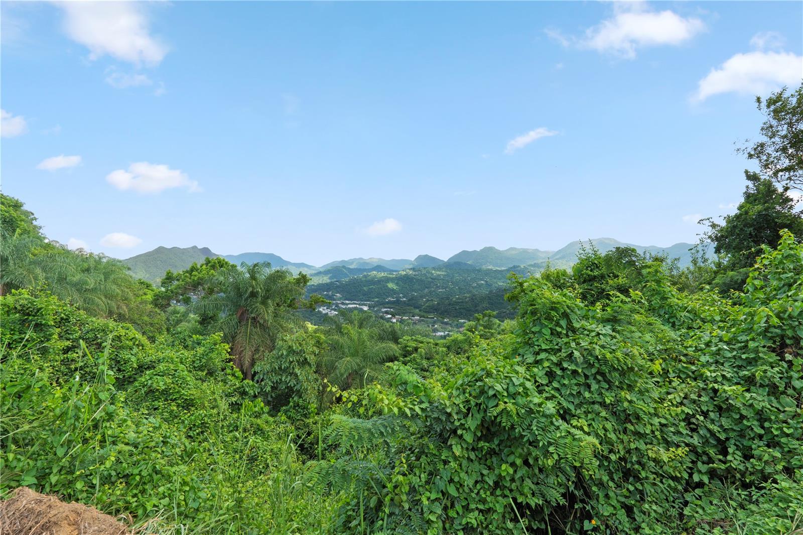 Bo. Hoyos Planes CARR. 531 KM HM7