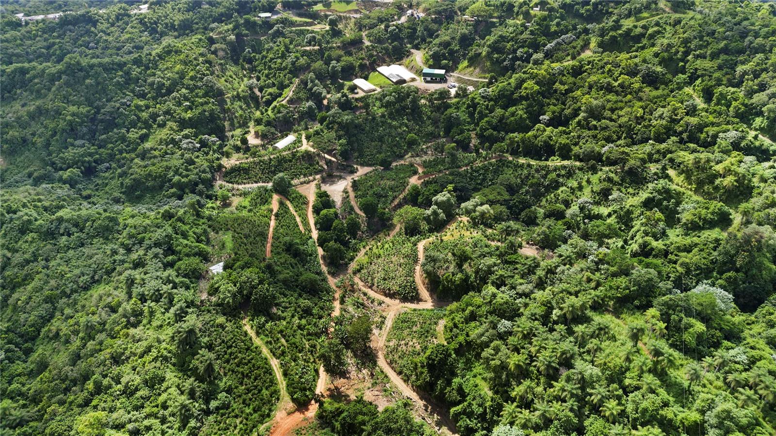 Bo. Hoyos Planes CARR. 531 KM HM7