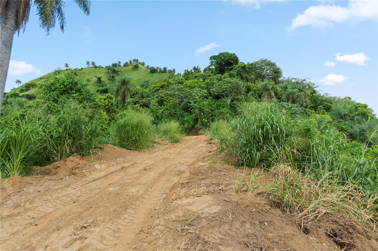 Bo. Hoyos Planes CARR. 531 KM HM7