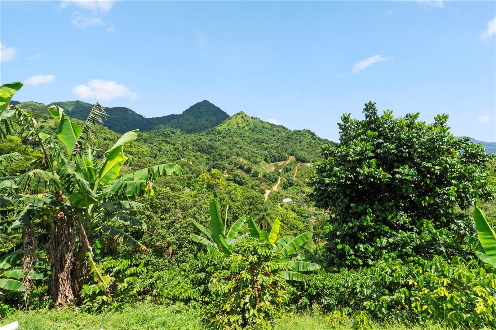 Bo. Hoyos Planes CARR. 531 KM HM7