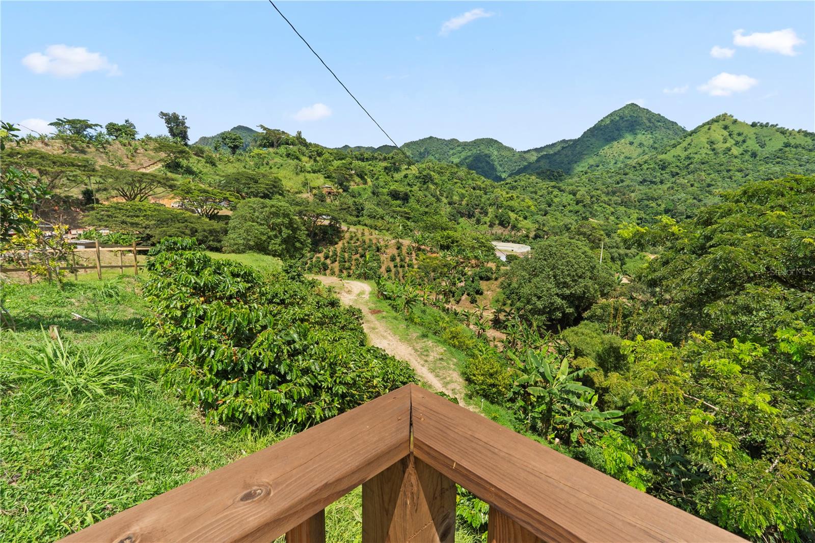 Bo. Hoyos Planes CARR. 531 KM HM7