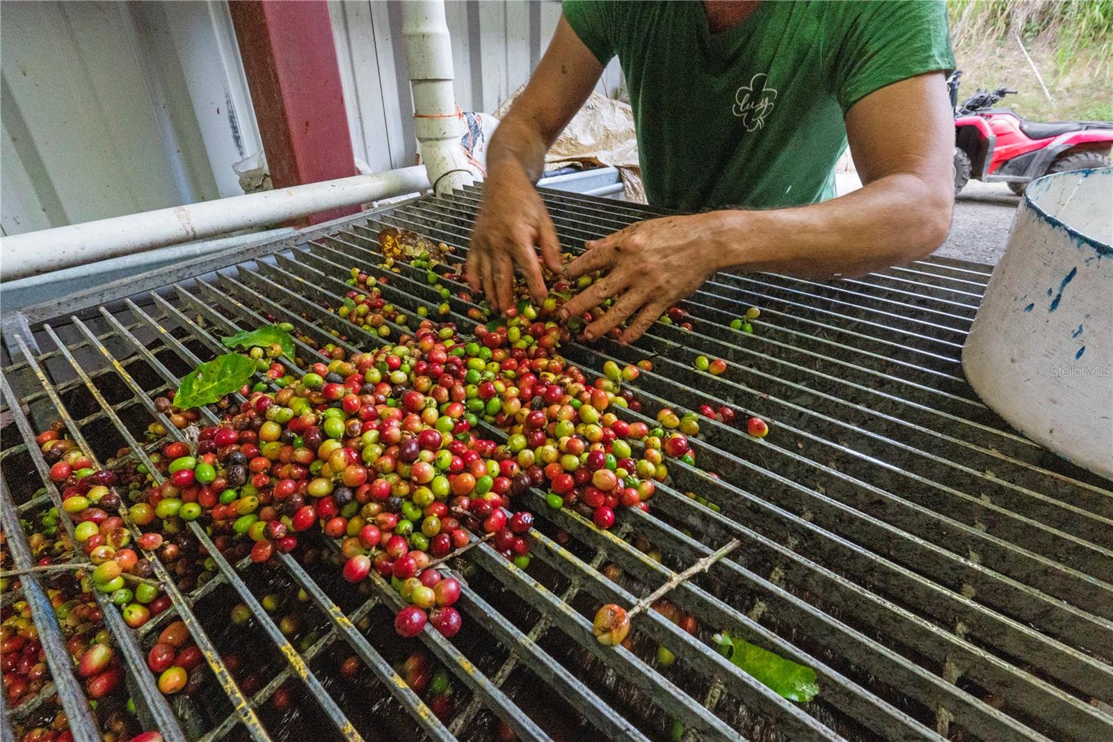 Bo. Hoyos Planes CARR. 531 KM HM7