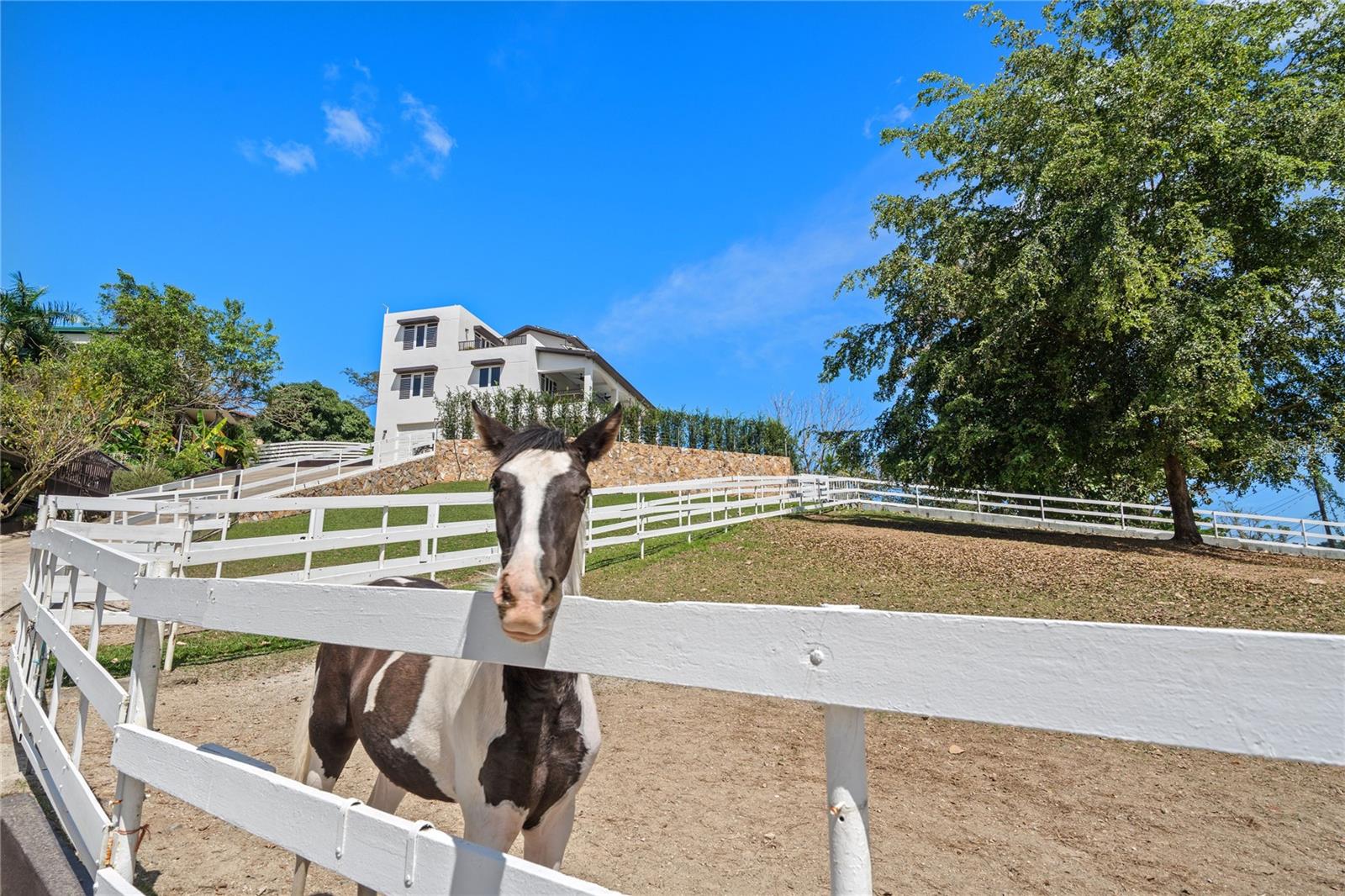 Lot 7 A STREET, HACIENDA CARABALI