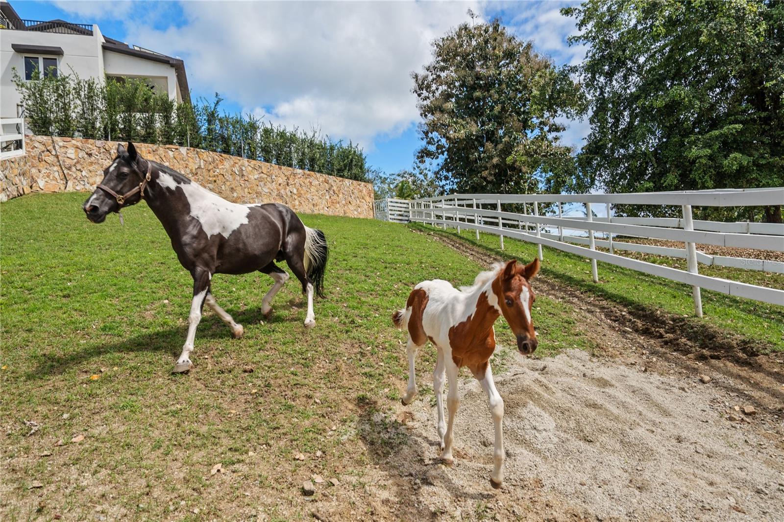 Lot 7 A STREET, HACIENDA CARABALI