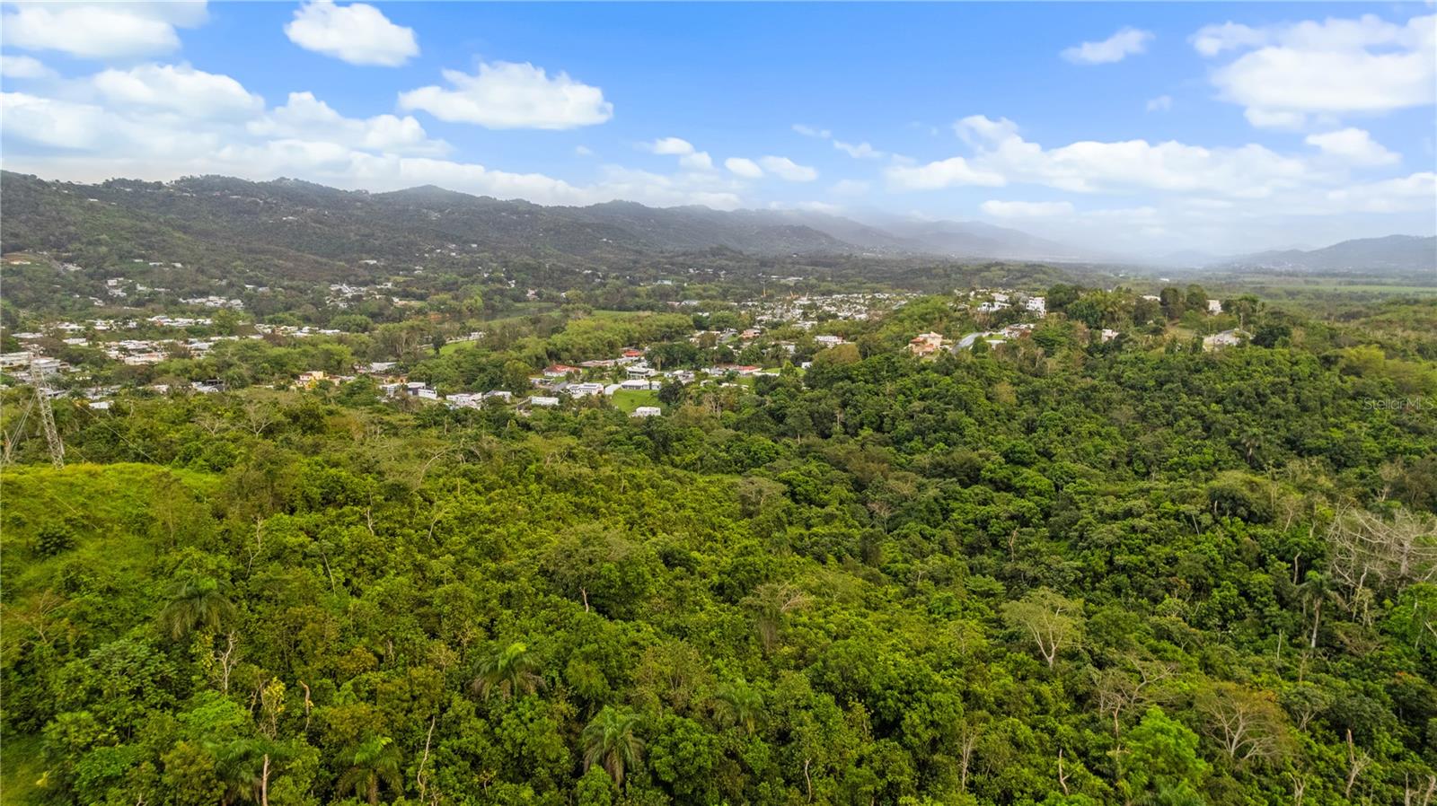 PR-796, RIO CAÑAS WARD