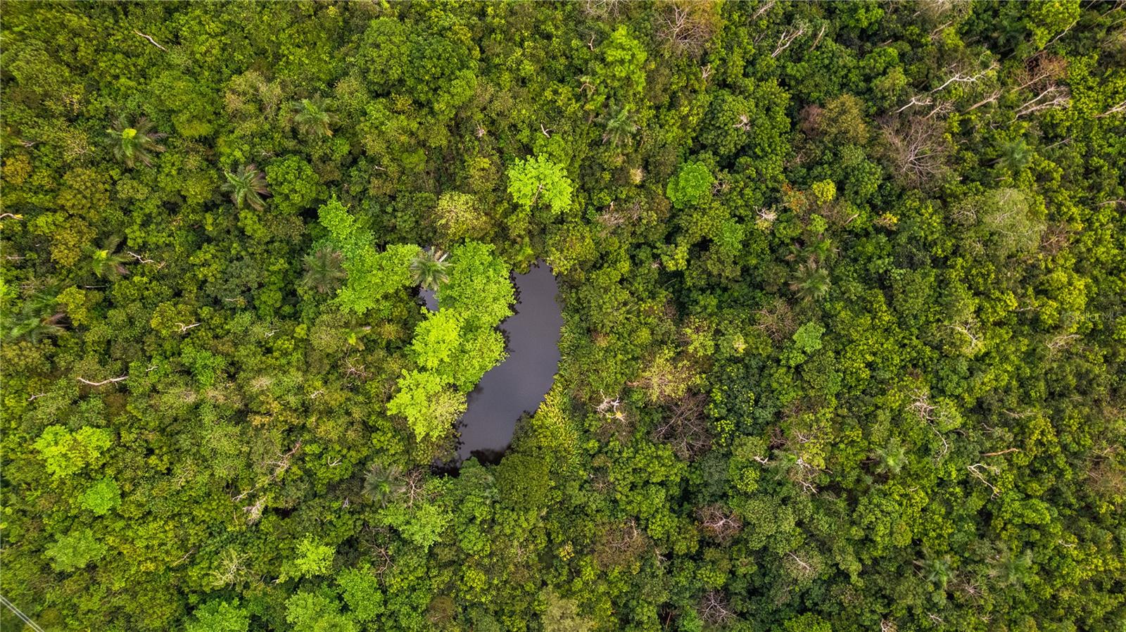 PR-796, RIO CAÑAS WARD