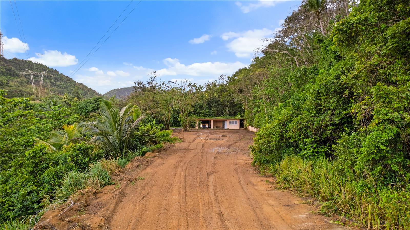 PR-796, RIO CAÑAS WARD