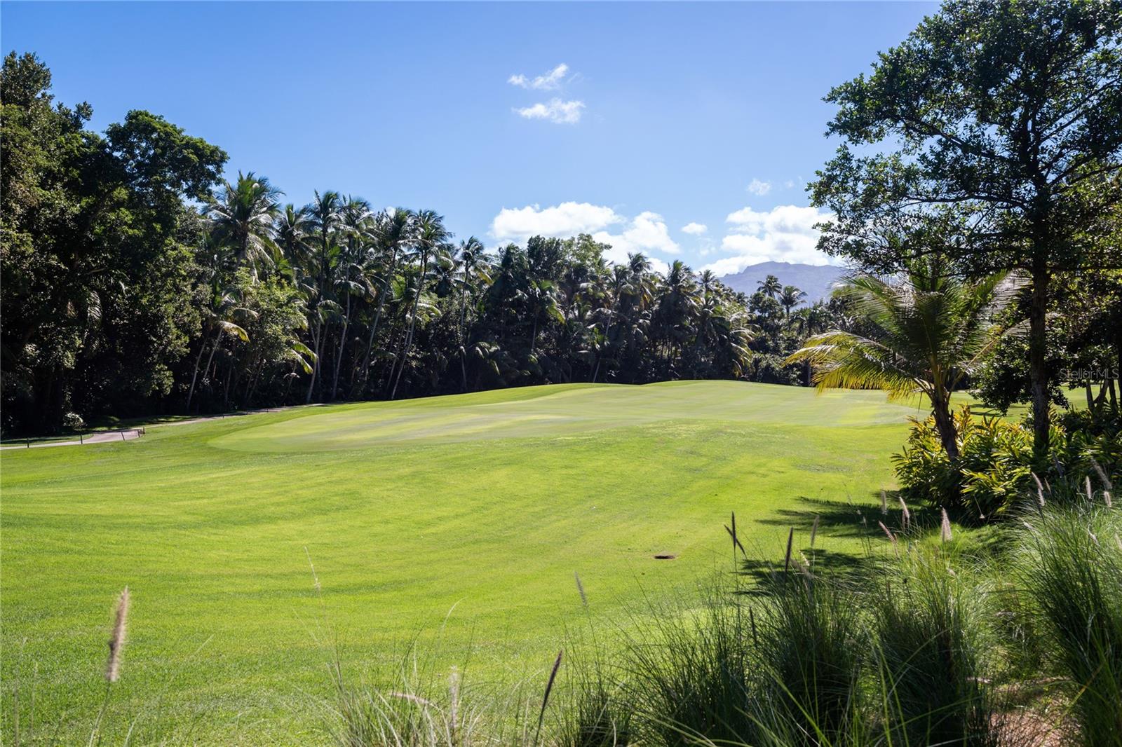 7000 BAHIA BEACH BLV LAS VERANDAS #3118