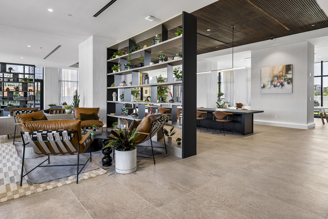 225 N Elizabeth Street Unit: 1902