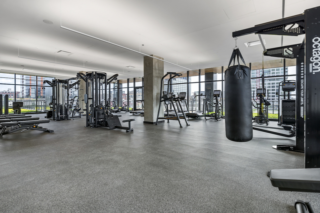 225 N Elizabeth Street Unit: 1902