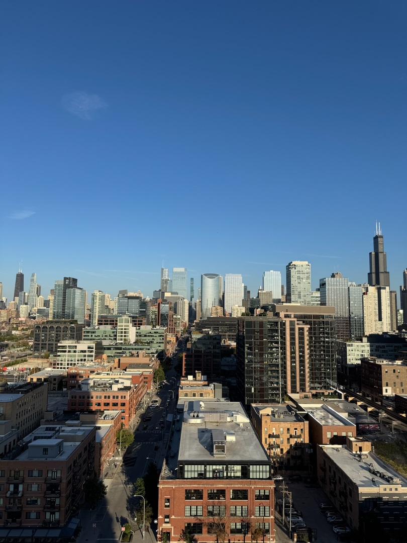 225 N Elizabeth Street Unit: 1902