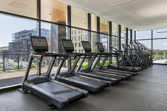 225 N Elizabeth Street Unit: 1902