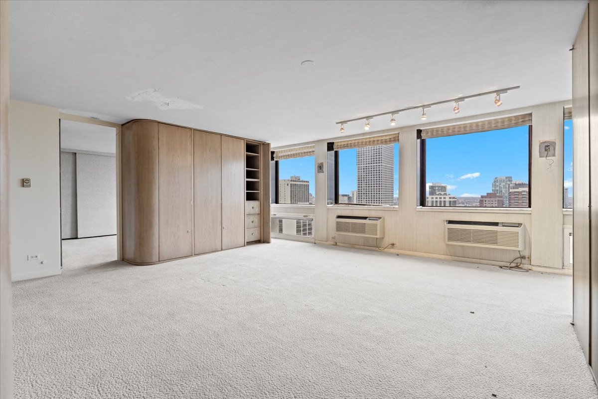 1110 N Lake Shore Drive Unit: 31N