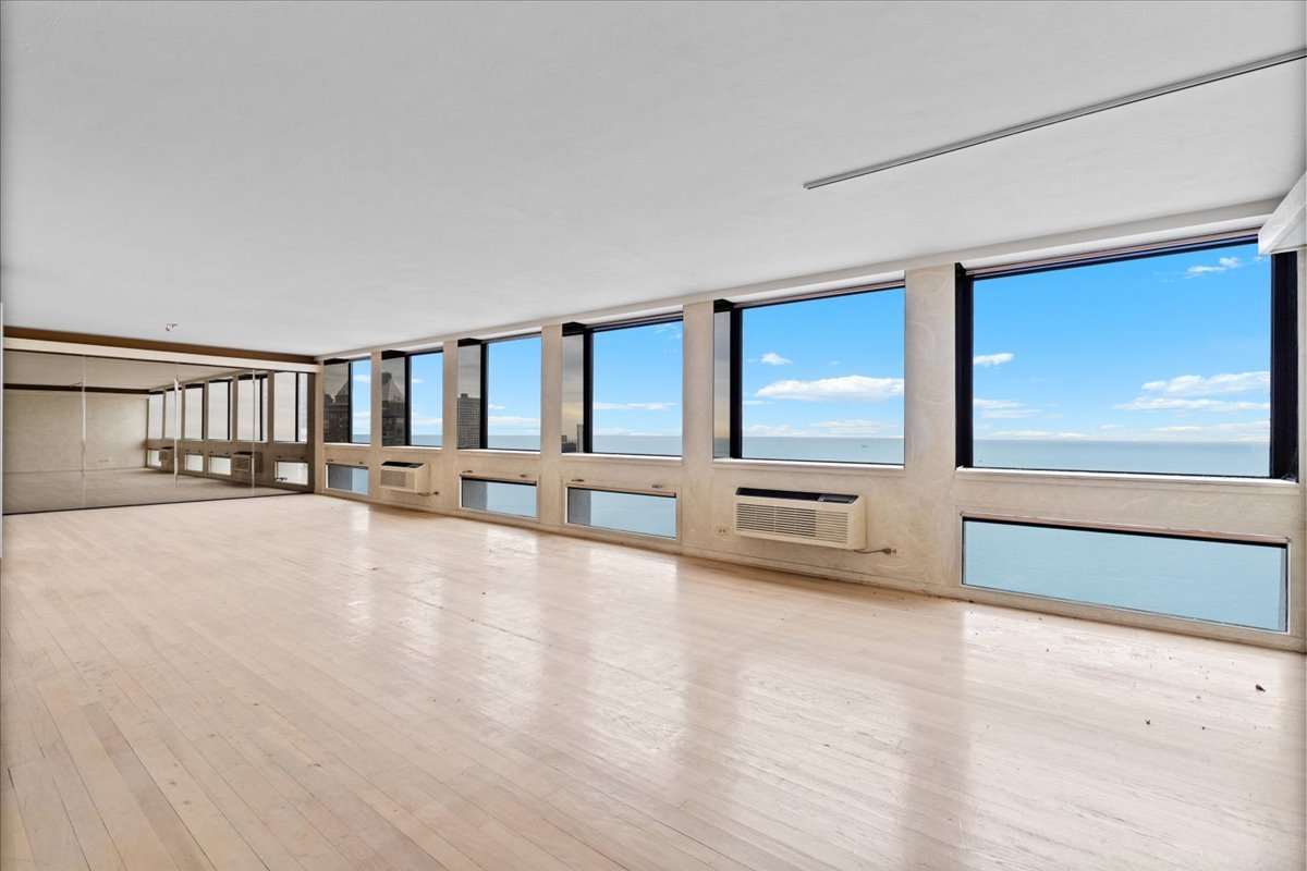 1110 N Lake Shore Drive Unit: 31N