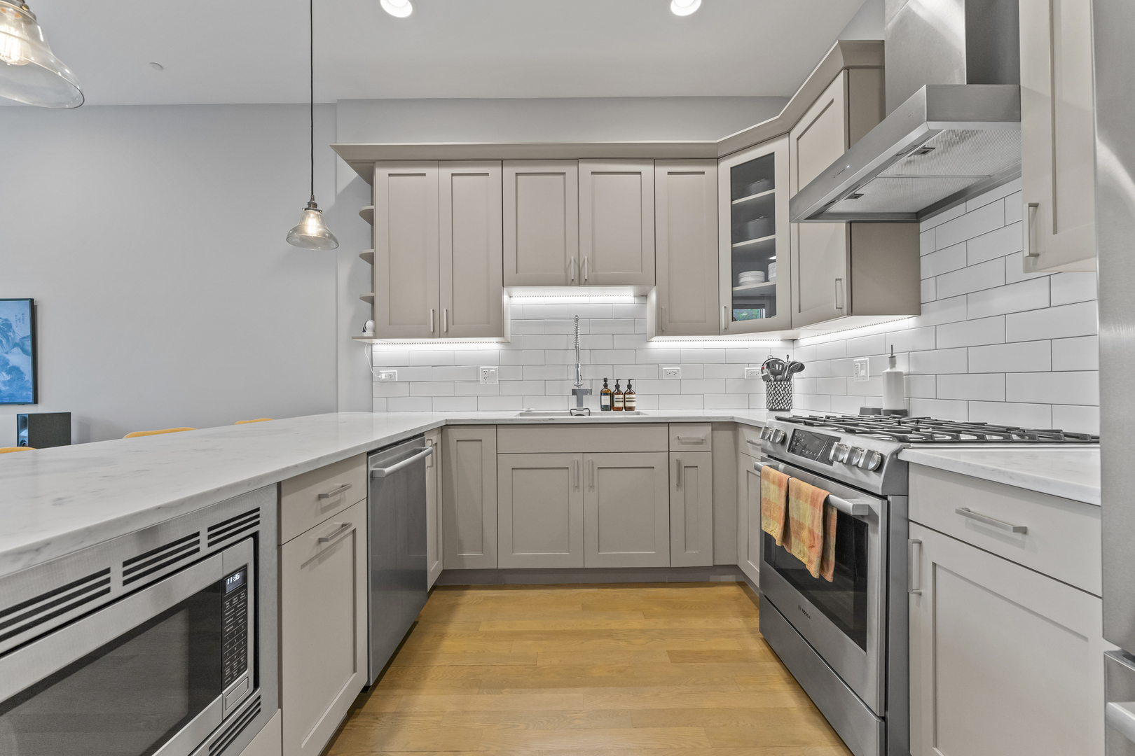 2733 W Hirsch Street Unit: 2E