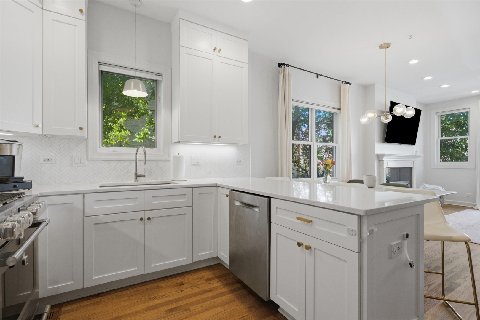 1109 W Cornelia Avenue Unit: 1W