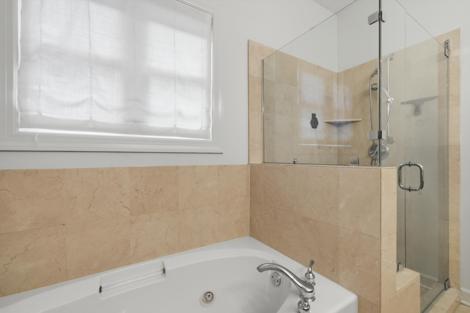 1109 W Cornelia Avenue Unit: 1W