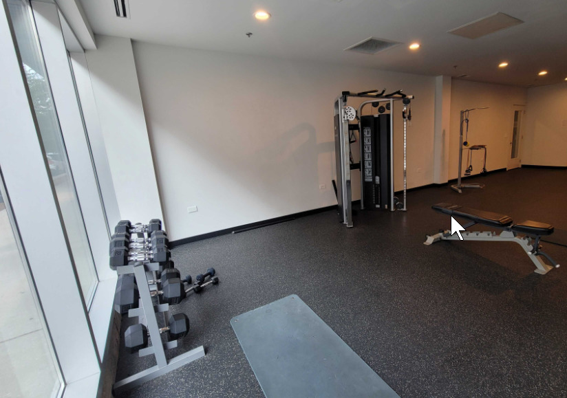 853 N Larrabee Street Unit: 205