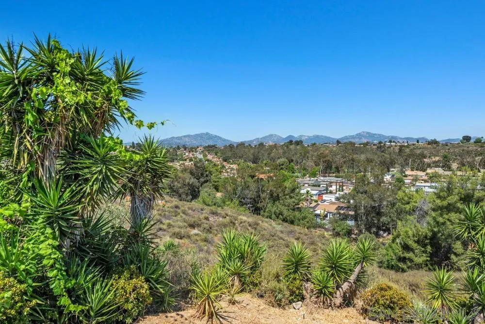 13765 Celestial Rd