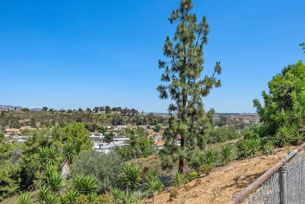 13765 Celestial Rd