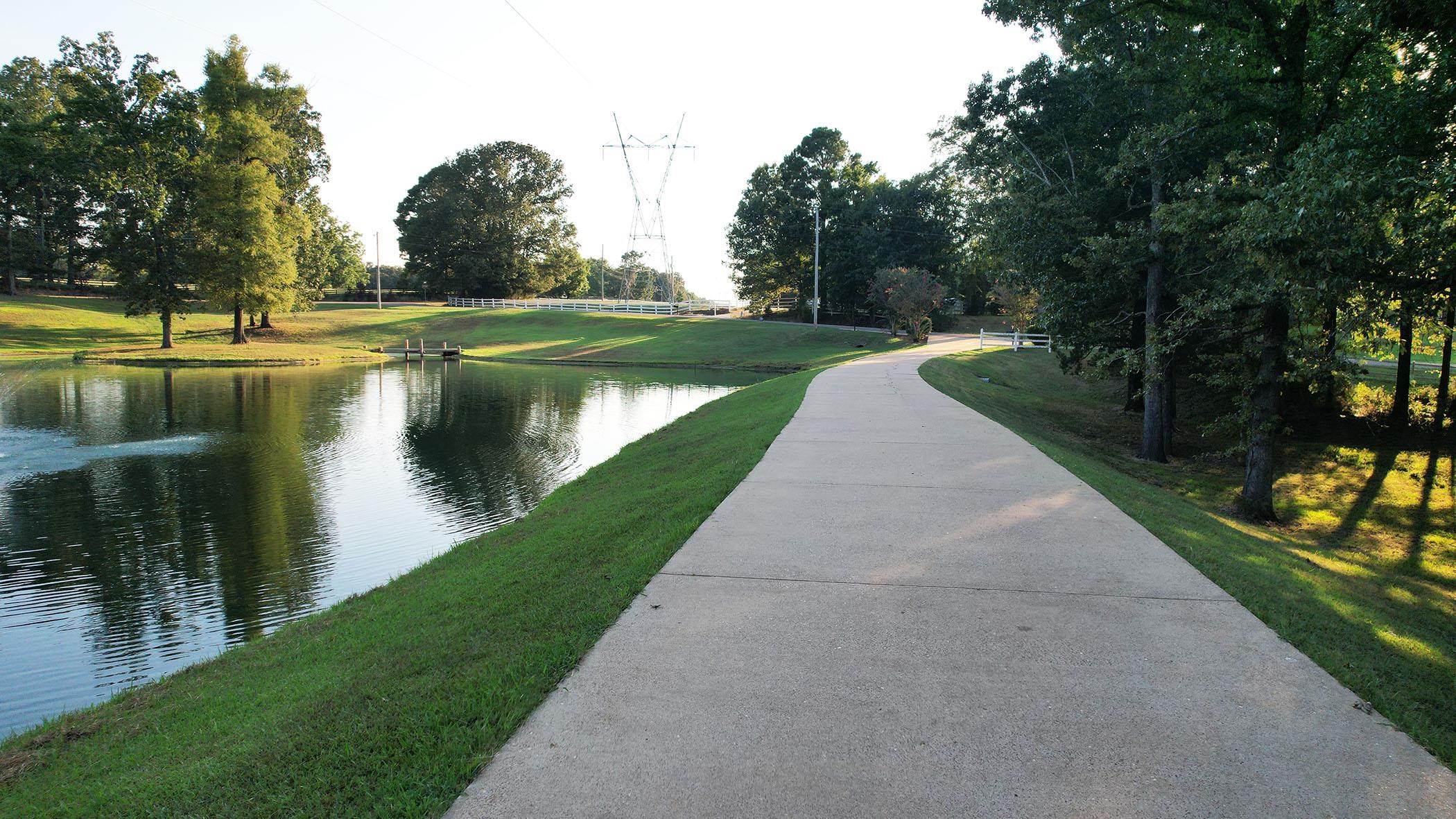 50 BREEZY MEADOWS COVE CV