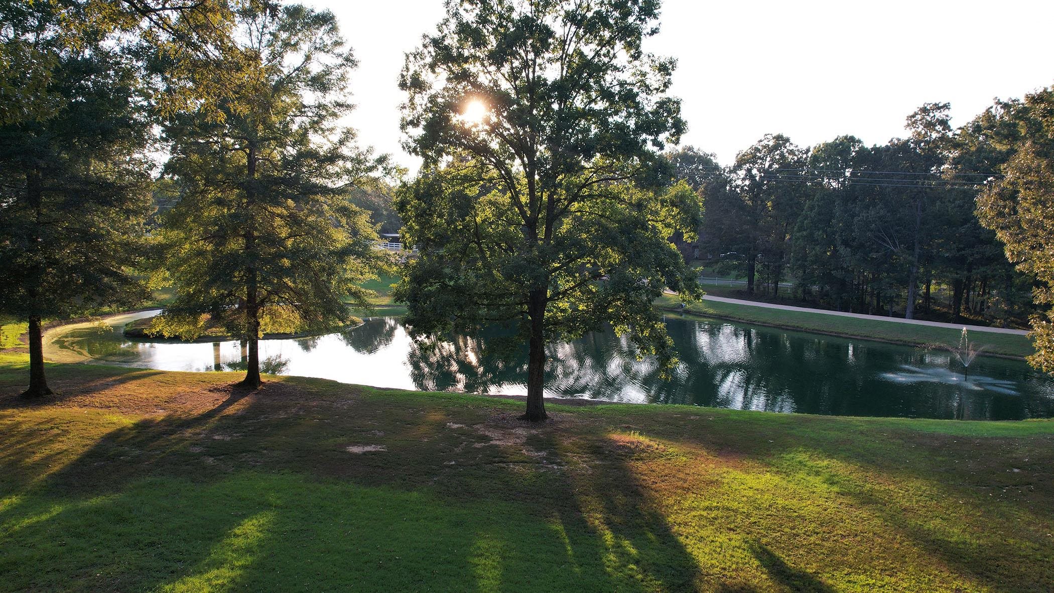 50 BREEZY MEADOWS COVE CV