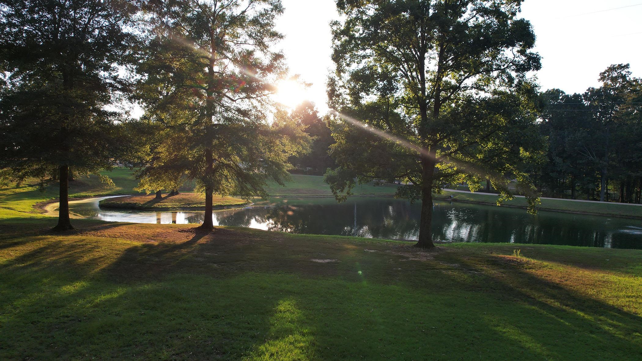 50 BREEZY MEADOWS COVE CV