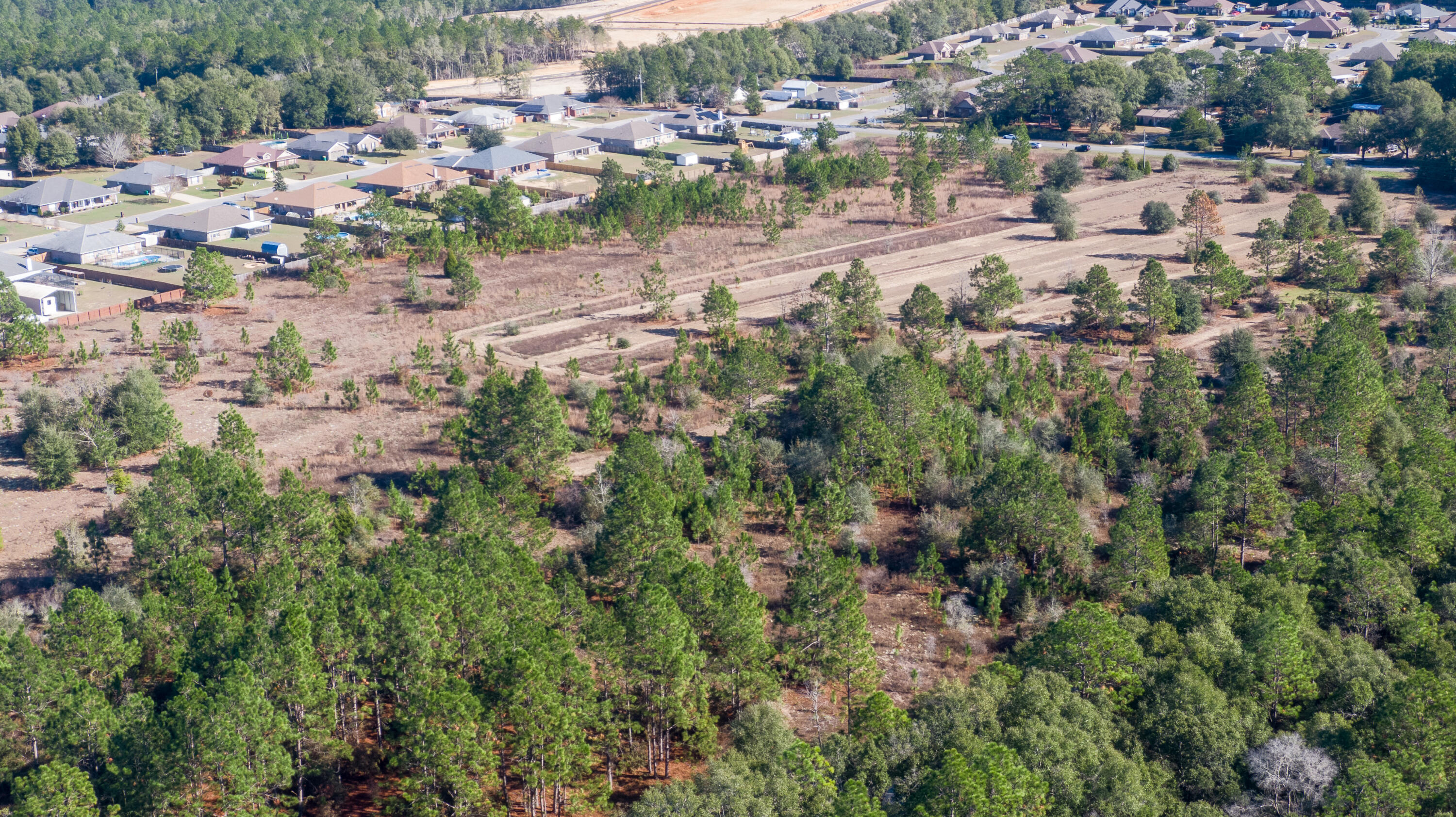 TBD 22 Acres +/- Lake Silver Road