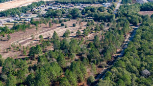 TBD 22 Acres +/- Lake Silver Road