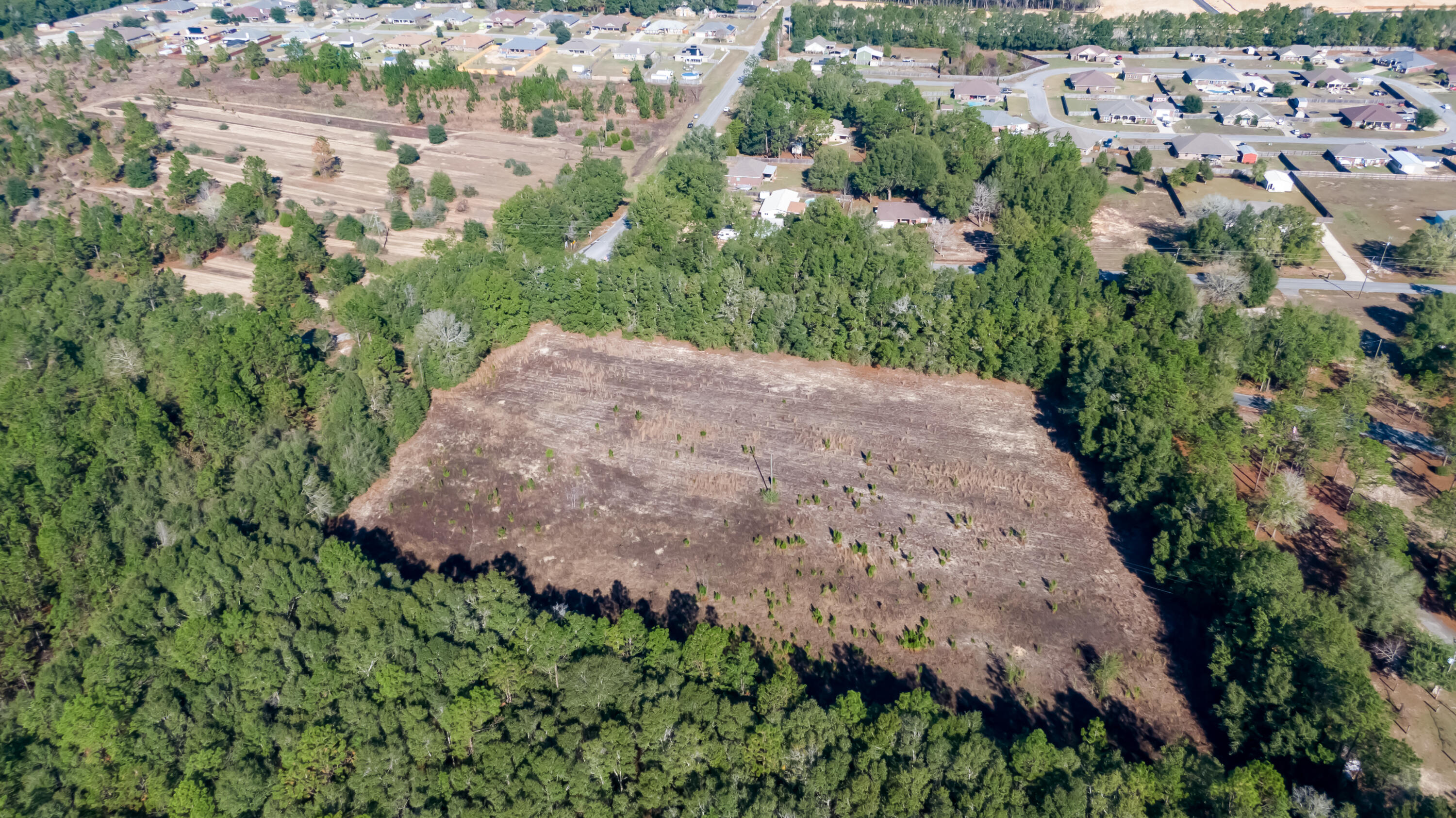 TBD 22 Acres +/- Lake Silver Road