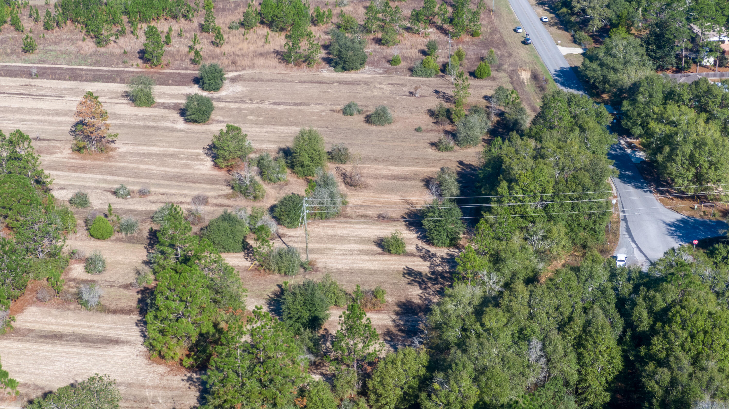 TBD 22 Acres +/- Lake Silver Road