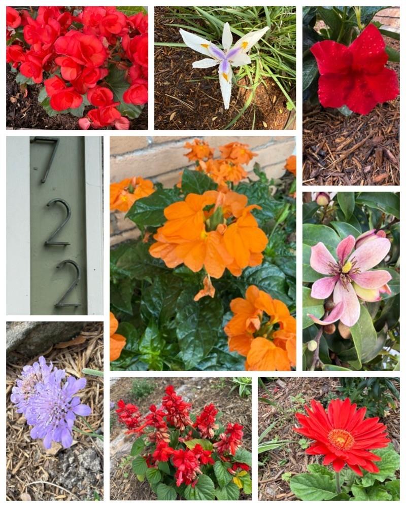 722 Azaleadell Drive