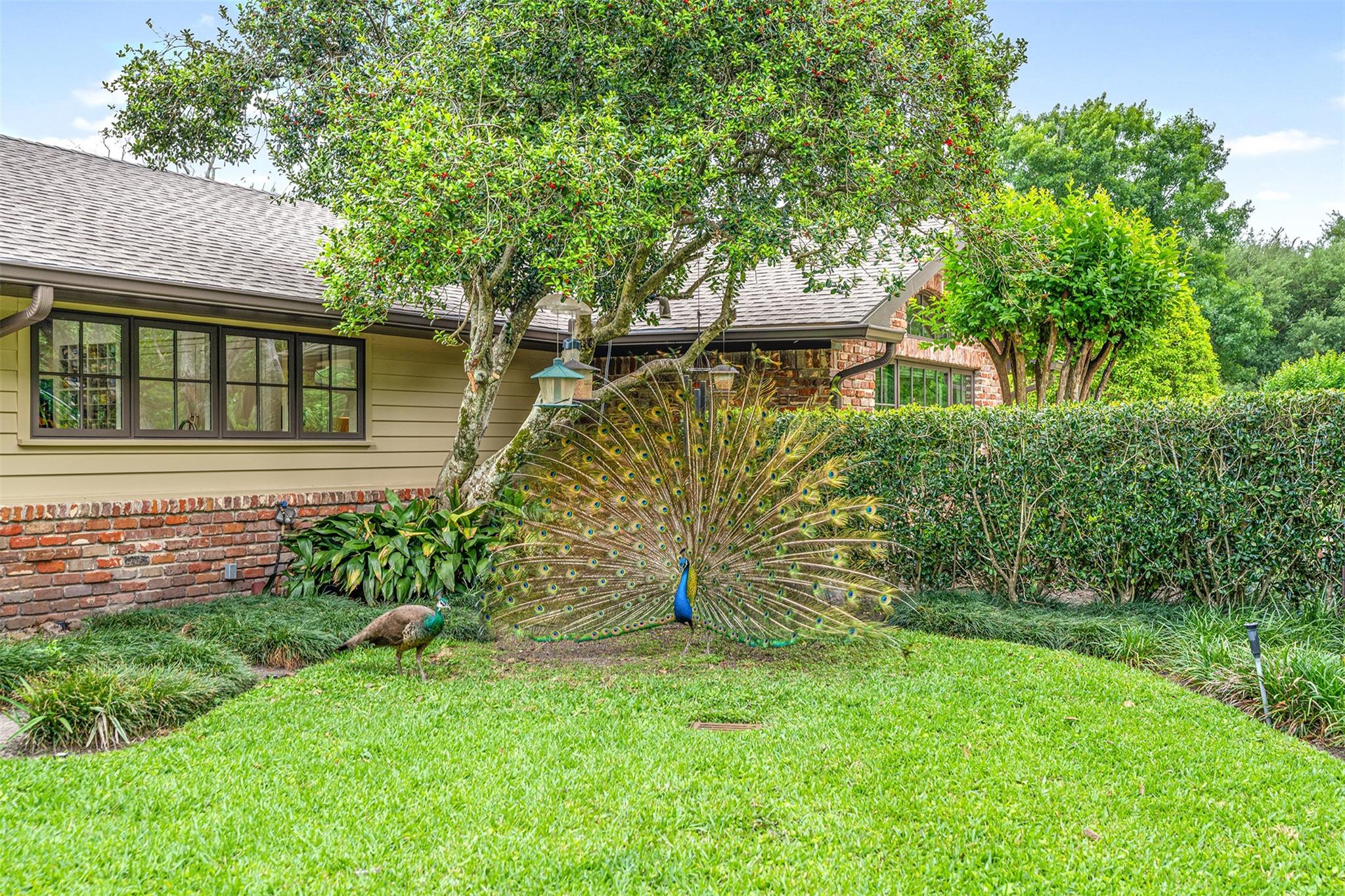 12 E Rivercrest Drive