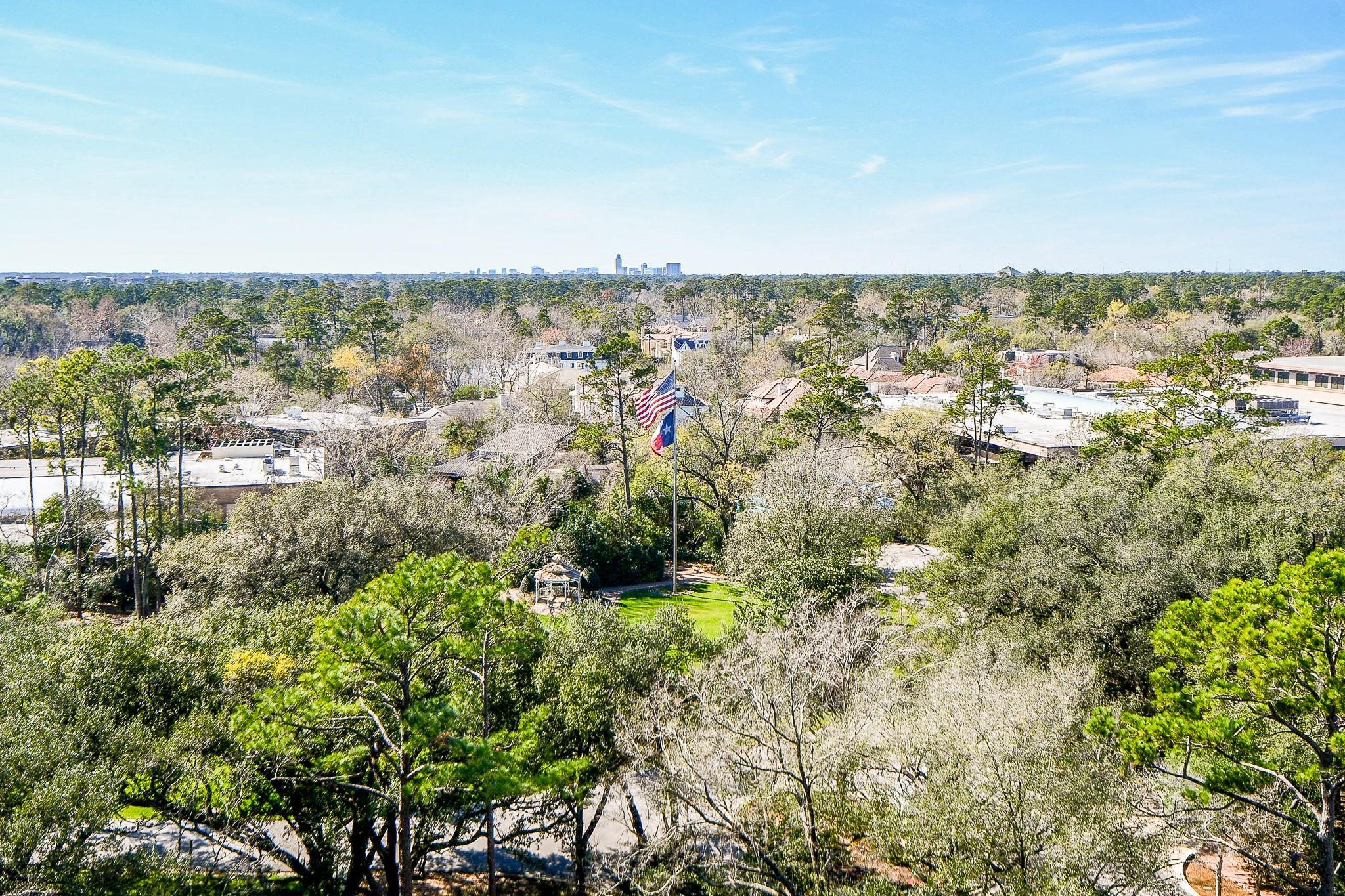 121 N Post Oak Lane # 1102