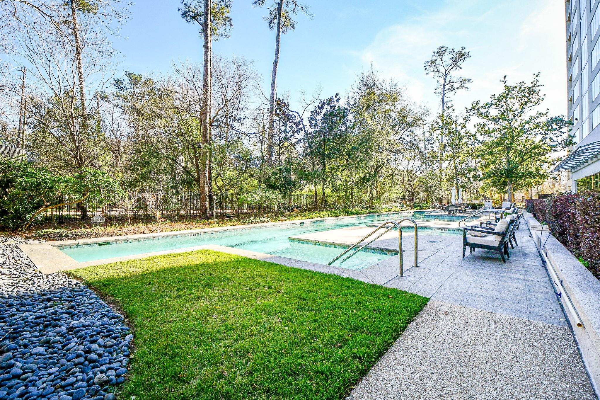 121 N Post Oak Lane # 1102