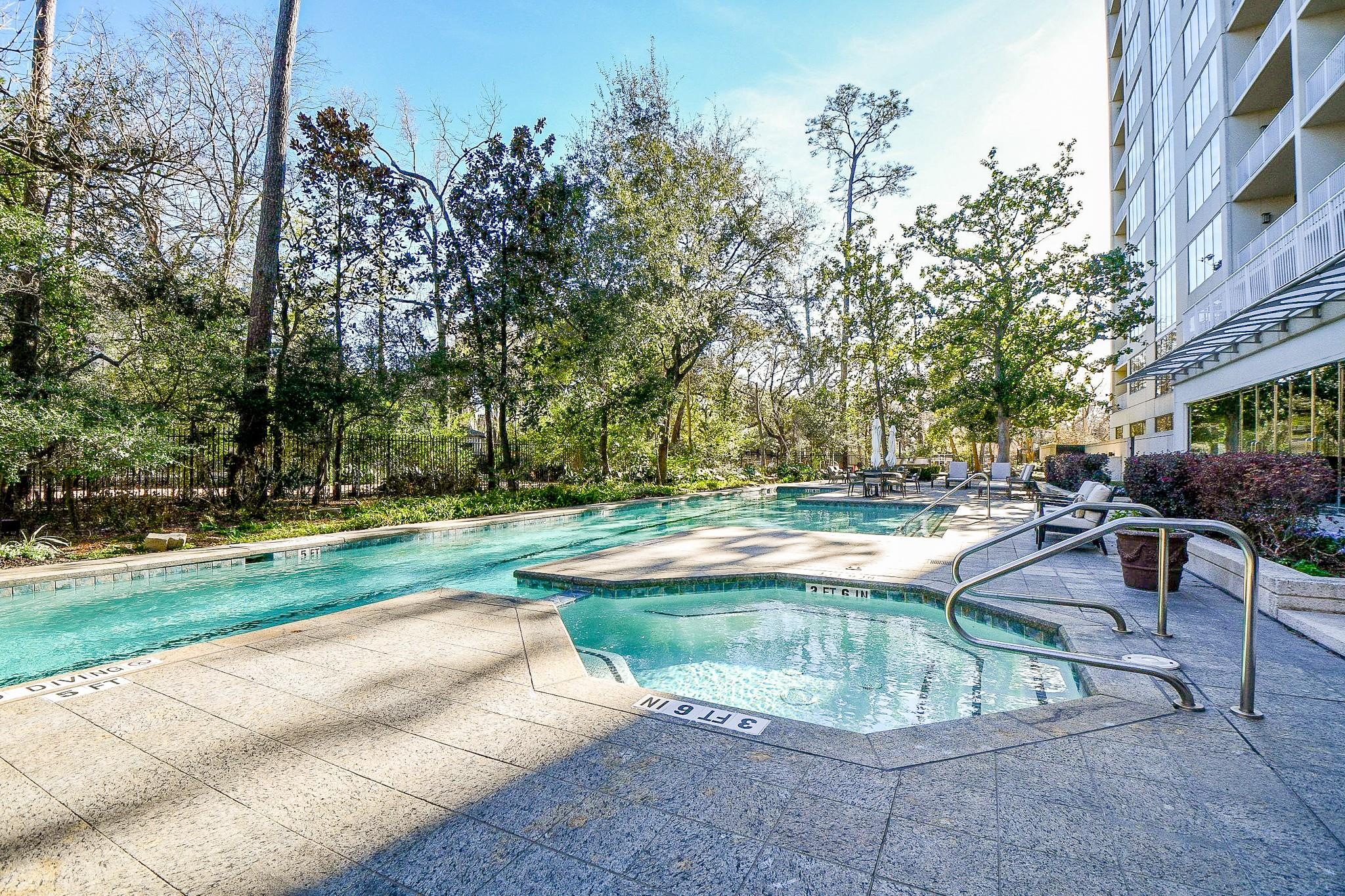 121 N Post Oak Lane # 1102