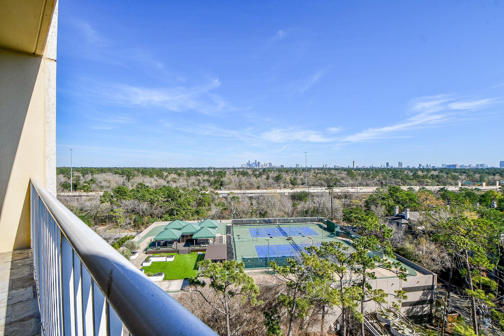 121 N Post Oak Lane # 1102