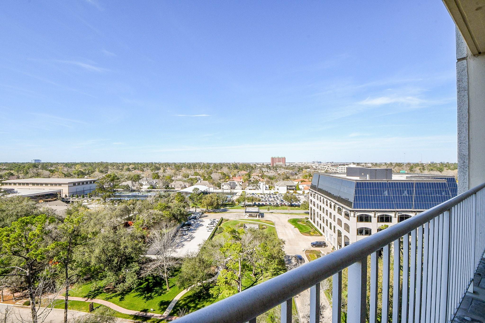 121 N Post Oak Lane # 1102