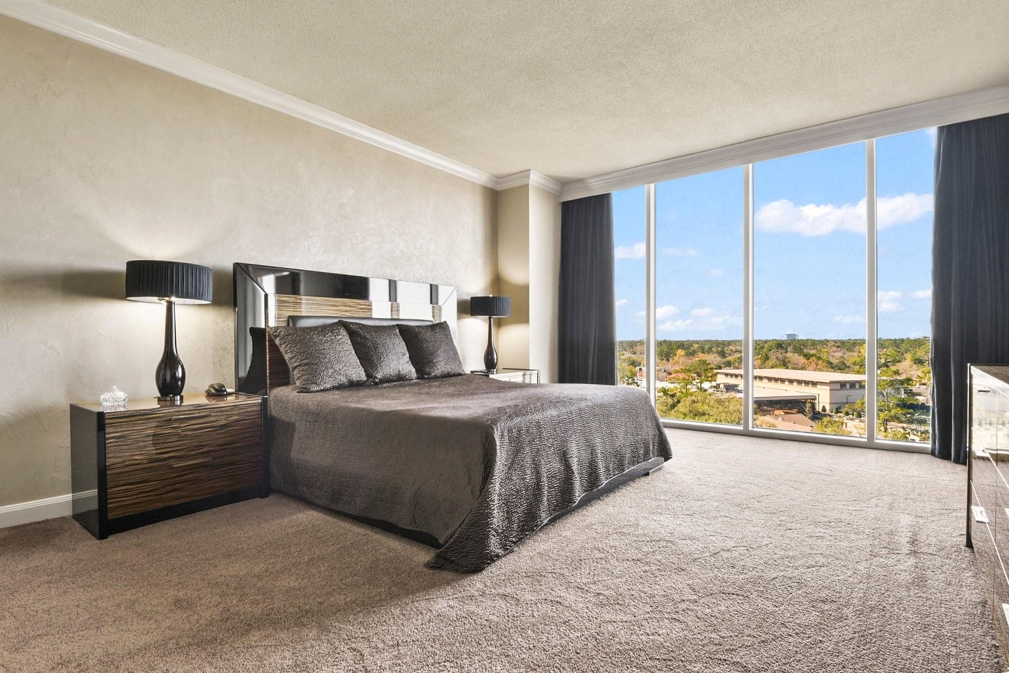 121 N Post Oak Lane # 1102