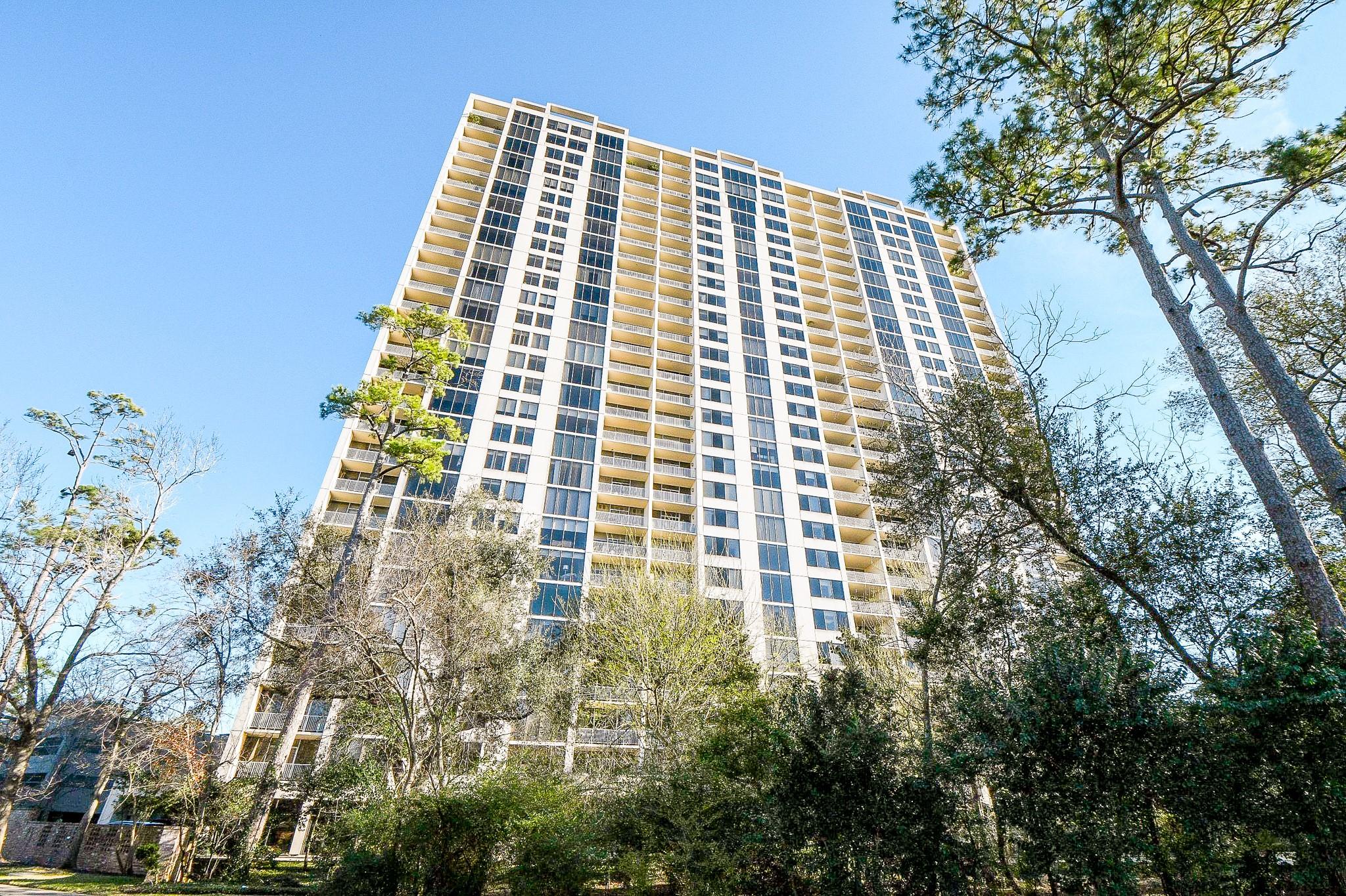 121 N Post Oak Lane # 1102
