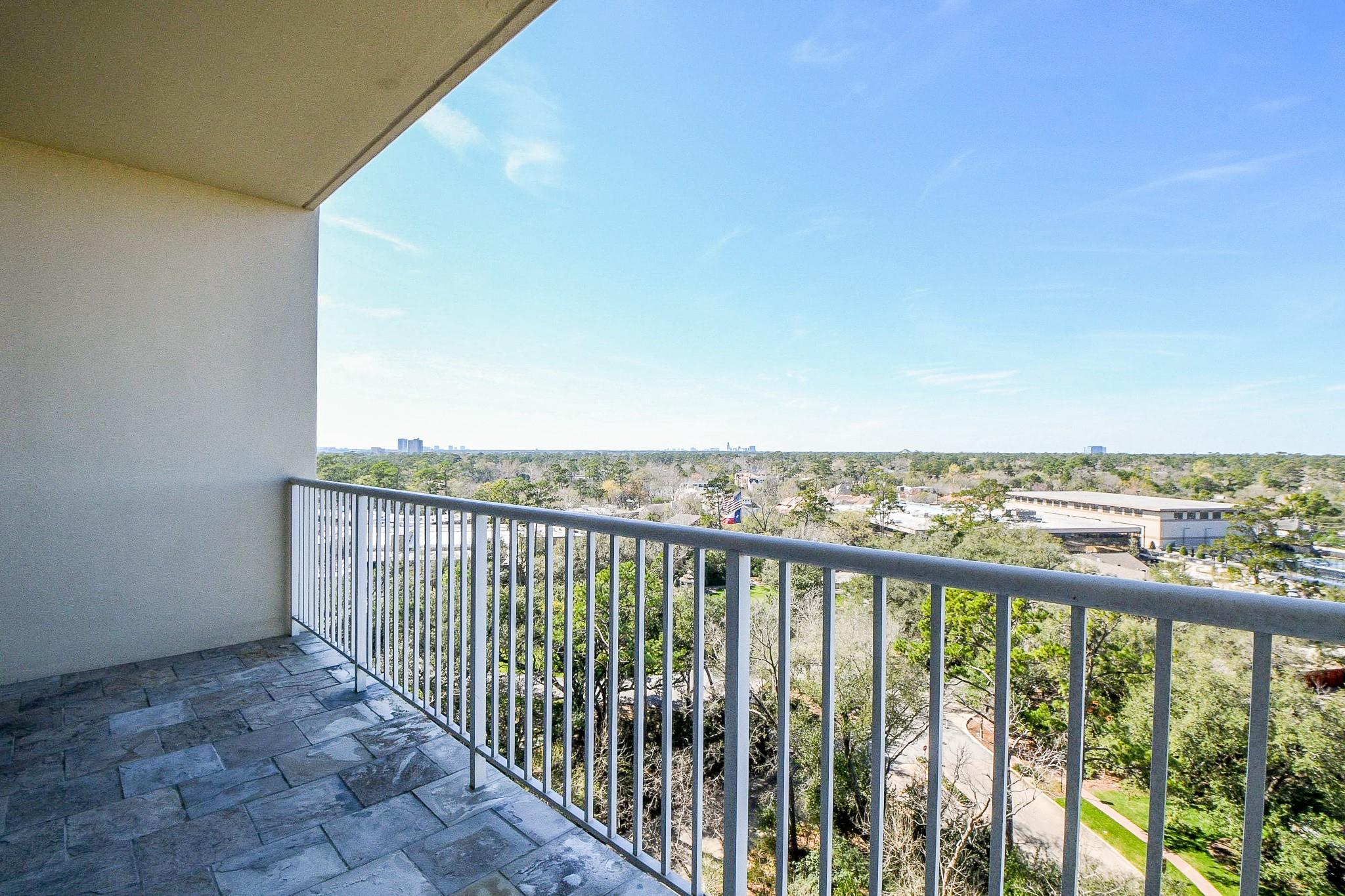 121 N Post Oak Lane # 1102